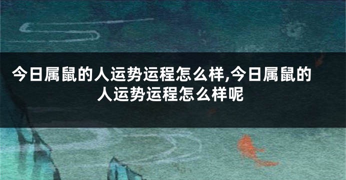 今日属鼠的人运势运程怎么样,今日属鼠的人运势运程怎么样呢
