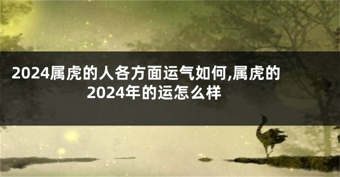 2024属虎的人各方面运气如何,属虎的2024年的运怎么样