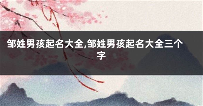 邹姓男孩起名大全,邹姓男孩起名大全三个字