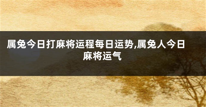属兔今日打麻将运程每日运势,属兔人今日麻将运气