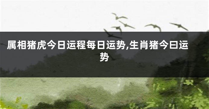 属相猪虎今日运程每日运势,生肖猪今曰运势