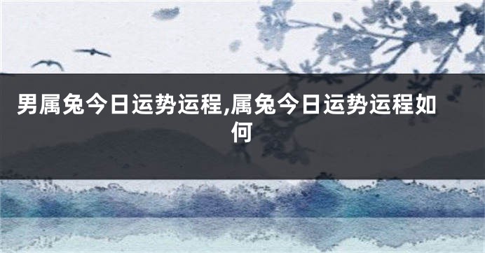 男属兔今日运势运程,属兔今日运势运程如何