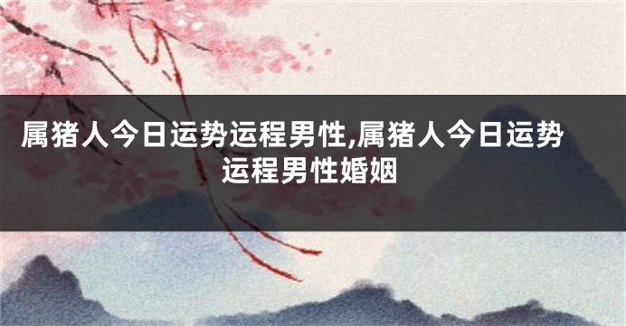 属猪人今日运势运程男性,属猪人今日运势运程男性婚姻