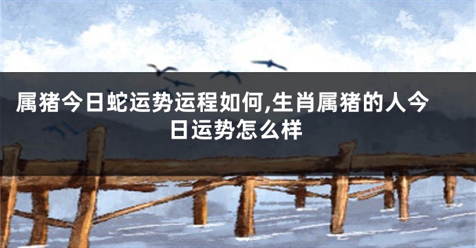 属猪今日蛇运势运程如何,生肖属猪的人今日运势怎么样