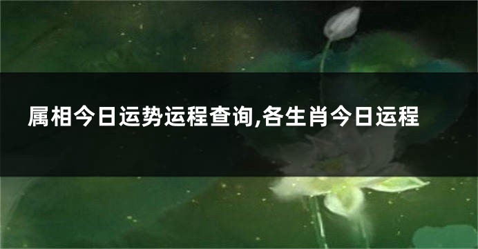 属相今日运势运程查询,各生肖今日运程