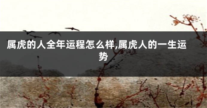 属虎的人全年运程怎么样,属虎人的一生运势