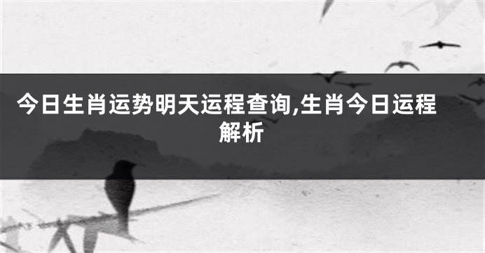 今日生肖运势明天运程查询,生肖今日运程解析