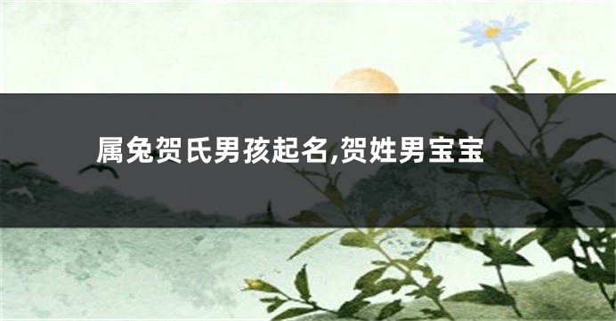 属兔贺氏男孩起名,贺姓男宝宝