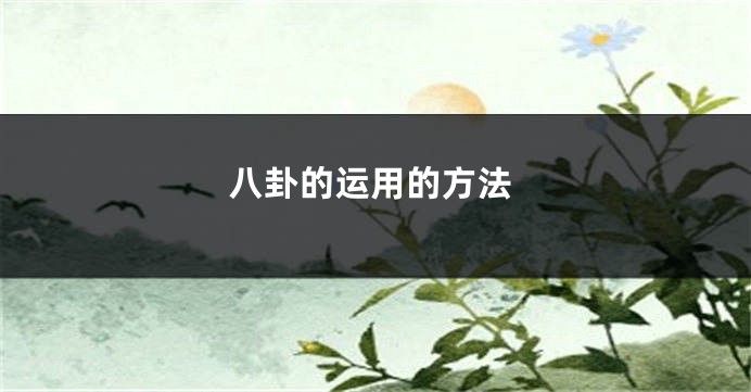 八卦的运用的方法