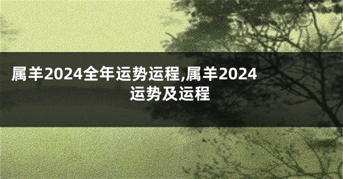 属羊2024全年运势运程,属羊2024运势及运程
