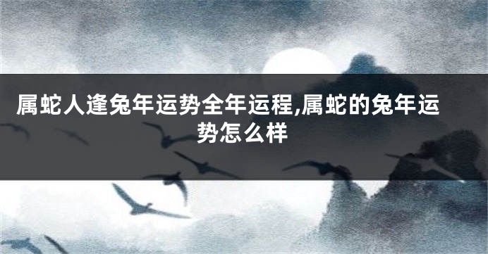 属蛇人逢兔年运势全年运程,属蛇的兔年运势怎么样
