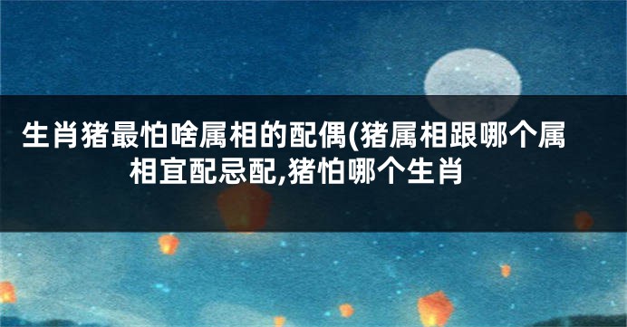 生肖猪最怕啥属相的配偶(猪属相跟哪个属相宜配忌配,猪怕哪个生肖