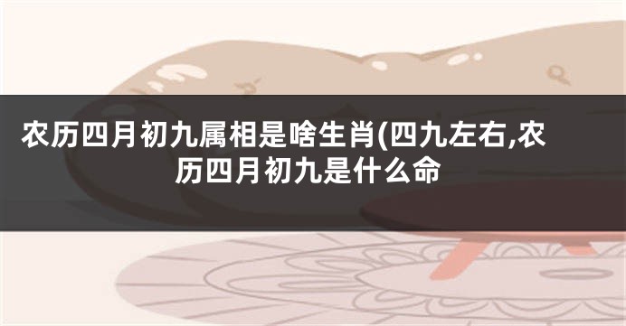 农历四月初九属相是啥生肖(四九左右,农历四月初九是什么命