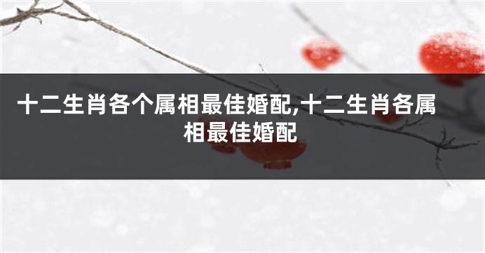 十二生肖各个属相最佳婚配,十二生肖各属相最佳婚配