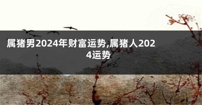 属猪男2024年财富运势,属猪人2024运势