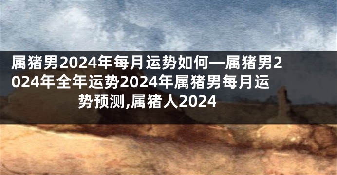 属猪男2024年每月运势如何—属猪男2024年全年运势2024年属猪男每月运势预测,属猪人2024