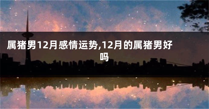 属猪男12月感情运势,12月的属猪男好吗