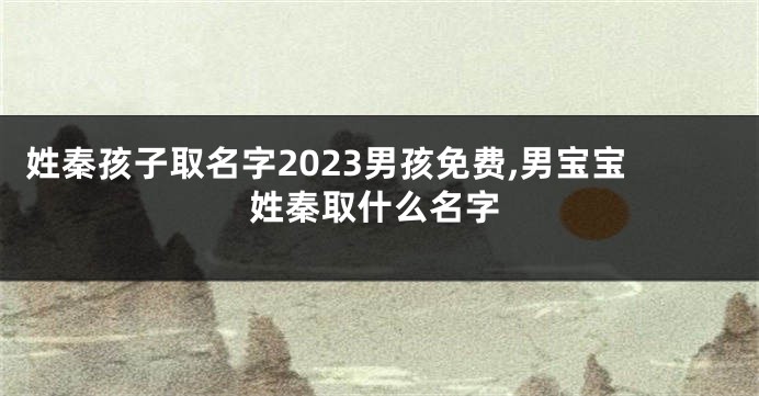 姓秦孩子取名字2023男孩免费,男宝宝姓秦取什么名字