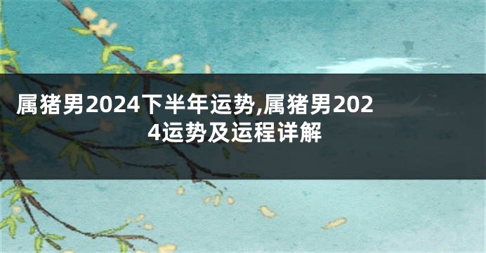 属猪男2024下半年运势,属猪男2024运势及运程详解