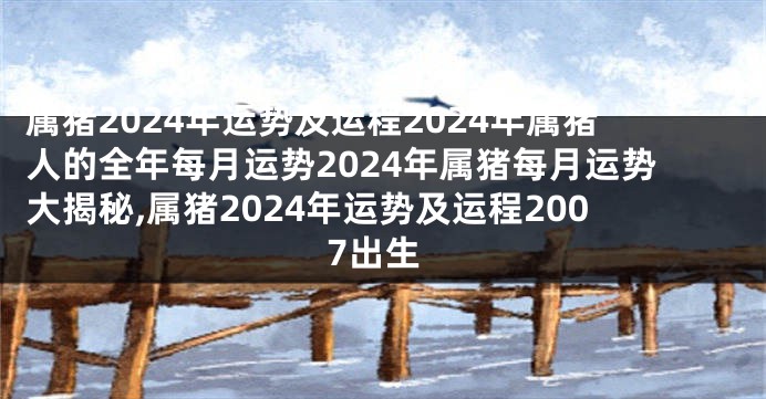 属猪2024年运势及运程2024年属猪人的全年每月运势2024年属猪每月运势大揭秘,属猪2024年运势及运程2007出生