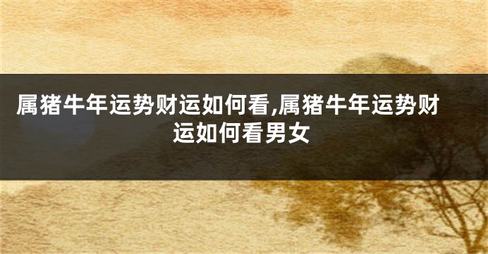 属猪牛年运势财运如何看,属猪牛年运势财运如何看男女