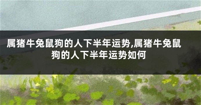 属猪牛兔鼠狗的人下半年运势,属猪牛兔鼠狗的人下半年运势如何