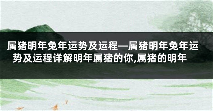 属猪明年兔年运势及运程—属猪明年兔年运势及运程详解明年属猪的你,属猪的明年