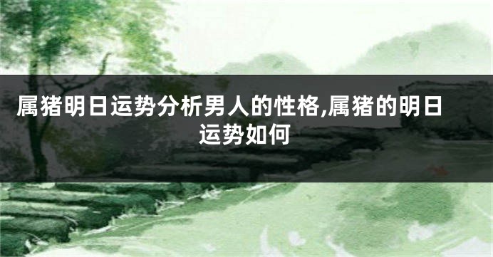 属猪明日运势分析男人的性格,属猪的明日运势如何