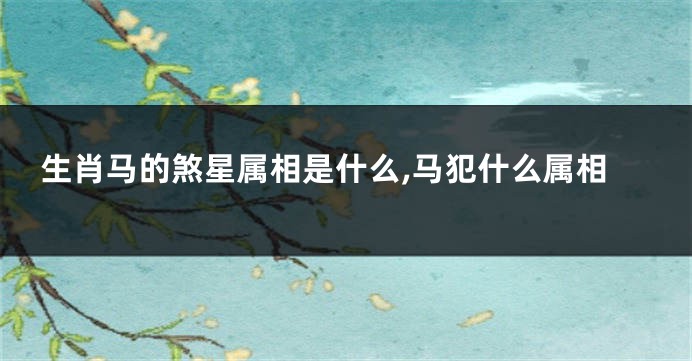 生肖马的煞星属相是什么,马犯什么属相