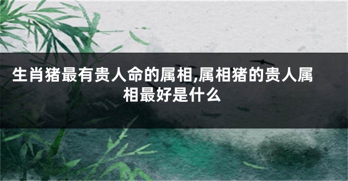 生肖猪最有贵人命的属相,属相猪的贵人属相最好是什么
