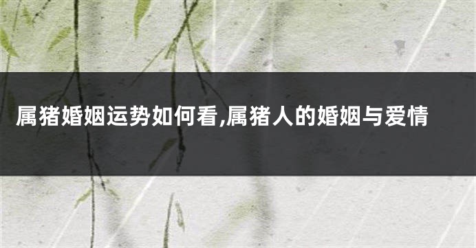 属猪婚姻运势如何看,属猪人的婚姻与爱情