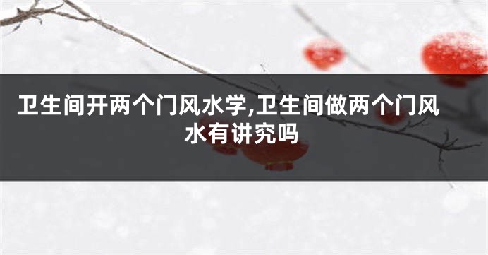 卫生间开两个门风水学,卫生间做两个门风水有讲究吗