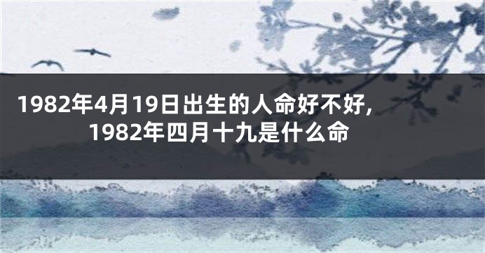 1982年4月19日出生的人命好不好,1982年四月十九是什么命