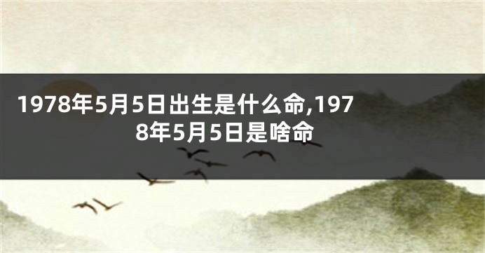 1978年5月5日出生是什么命,1978年5月5日是啥命