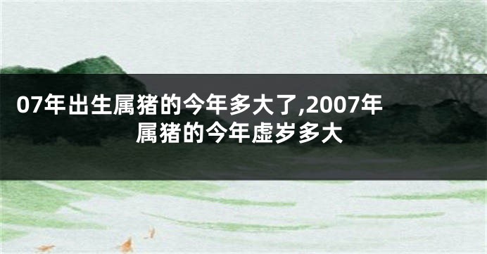 07年出生属猪的今年多大了,2007年属猪的今年虚岁多大