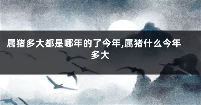 属猪多大都是哪年的了今年,属猪什么今年多大
