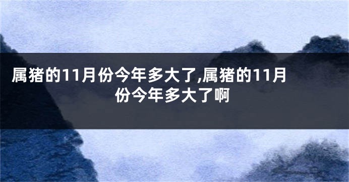 属猪的11月份今年多大了,属猪的11月份今年多大了啊