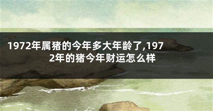 1972年属猪的今年多大年龄了,1972年的猪今年财运怎么样