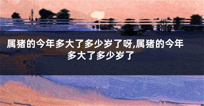 属猪的今年多大了多少岁了呀,属猪的今年多大了多少岁了