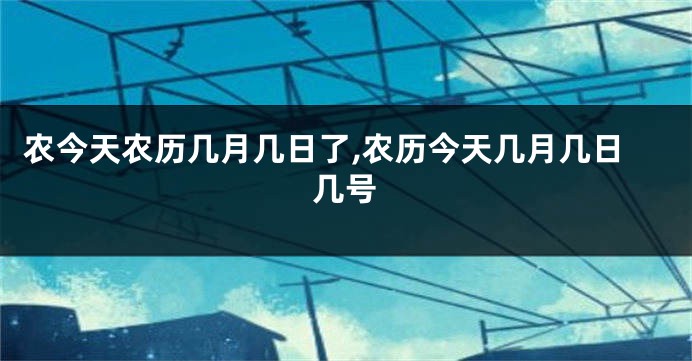 农今天农历几月几日了,农历今天几月几日几号