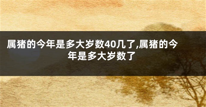 属猪的今年是多大岁数40几了,属猪的今年是多大岁数了