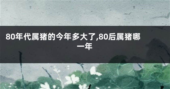 80年代属猪的今年多大了,80后属猪哪一年