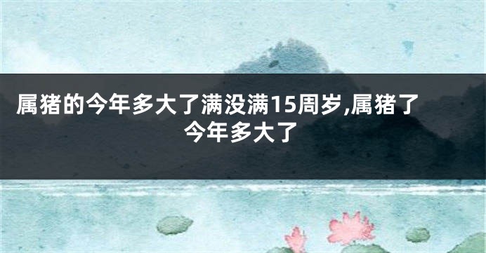 属猪的今年多大了满没满15周岁,属猪了今年多大了