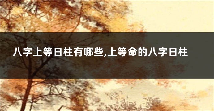 八字上等日柱有哪些,上等命的八字日柱
