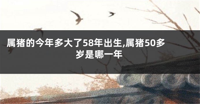 属猪的今年多大了58年出生,属猪50多岁是哪一年