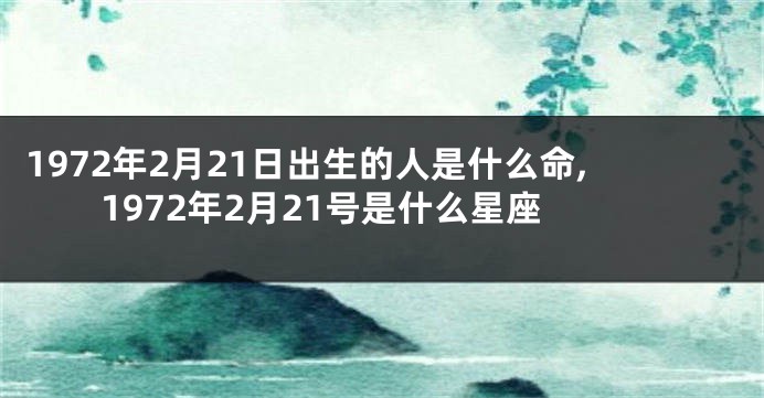 1972年2月21日出生的人是什么命,1972年2月21号是什么星座
