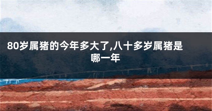 80岁属猪的今年多大了,八十多岁属猪是哪一年