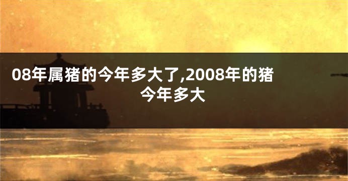 08年属猪的今年多大了,2008年的猪今年多大