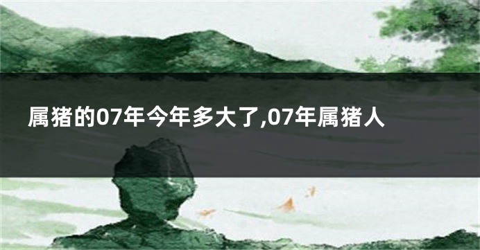 属猪的07年今年多大了,07年属猪人