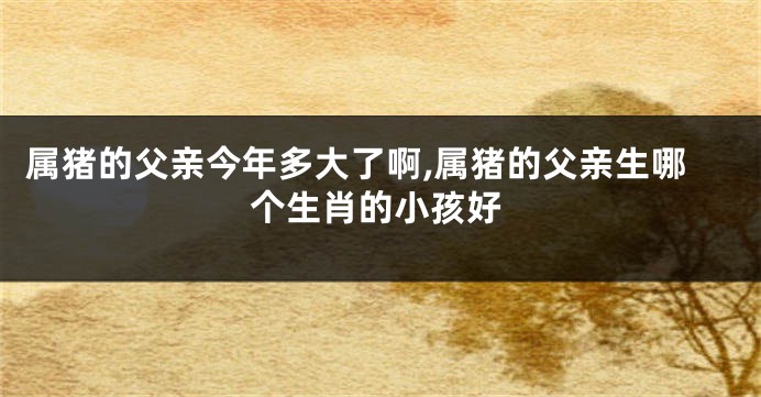 属猪的父亲今年多大了啊,属猪的父亲生哪个生肖的小孩好